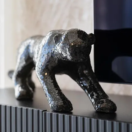 Myflat Coral Estrellita * Σίοφοκ